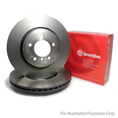 Brembo front brake - brake, discs