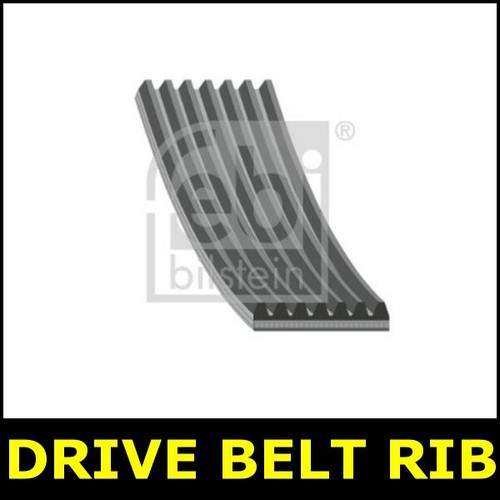 Drive belt fits - drive, ii